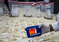 DNCD frustra envío de presunta cocaína a España oculta en cajas de cartón con doble fondo