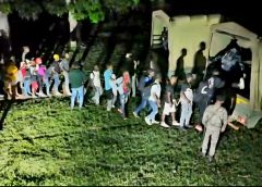 República Dominicana refuerza control fronterizo: 256 sometidos por tráfico de migrantes y millonario contrabando en 2026