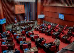 Senado dominicano impulsa sistema de alerta nacional para personas desaparecidas y envía proyecto modificado a Diputados