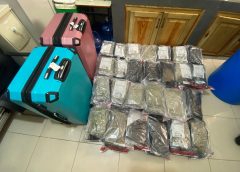 Decomisan más de 100 libras de presunta marihuana en equipaje procedente de Canadá en aeropuerto de Punta Cana