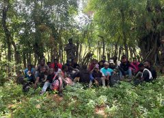 Ejército de República Dominicana detiene a 26 migrantes irregulares en operativo en zona boscosa de Guayubín, Montecristi