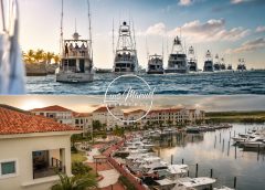 Cap Cana se prepara para el White Marlin Tournament 2026 con más de 300 embarcaciones y pescadores internacionales