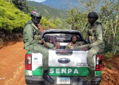 SENPA lidera operativo contra tala ilegal en el Parque Nacional J. Armando Bermúdez y detiene a nueve indocumentados