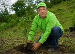 COOPNAMA impulsa reforestación a nivel nacional y refuerza su apuesta por la sostenibilidad ambiental