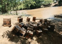 Ejército dominicano incauta cargamento de aceite de motor introducido ilegalmente desde Haití por el río Artibonito