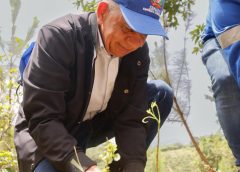 Senado impulsa reforestación en San Cristóbal con la creación de su segundo bosque institucional