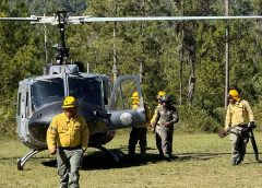 Medio Ambiente controla incendio en el Parque Nacional José del Carmen Ramírez tras operativo conjunto