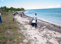 Seaboard y estudiantes retiran más de 2,000 libras de plástico de un santuario de manatíes en Puerto Plata